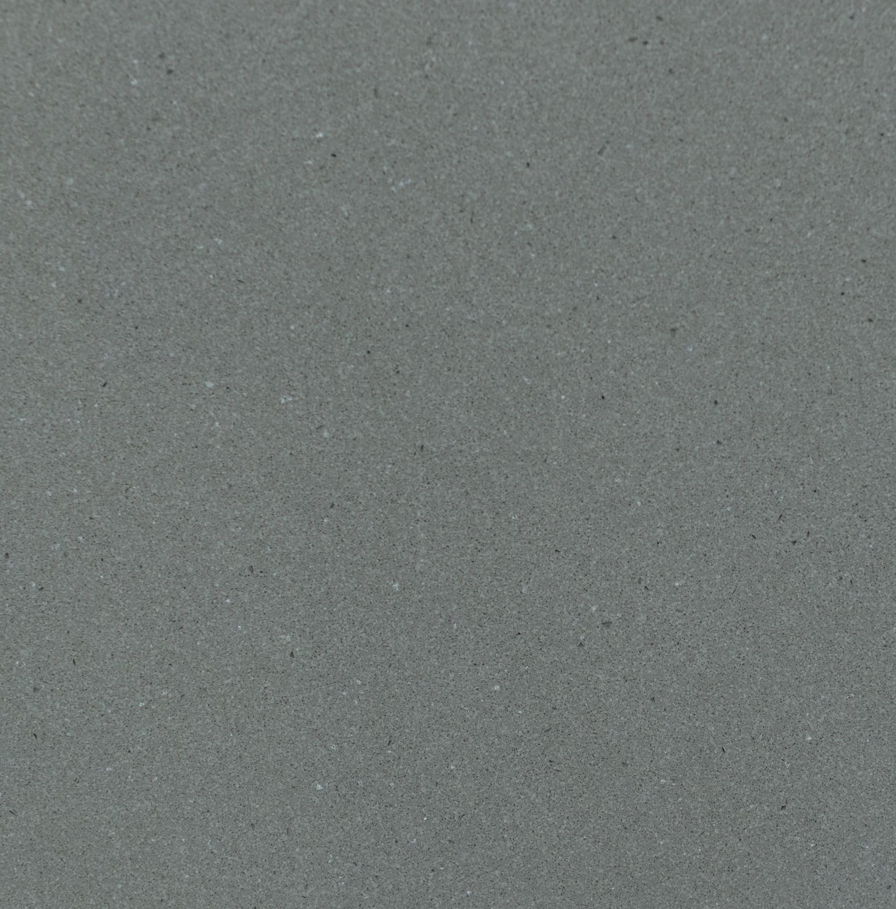 BQ278 Paloma Closeup